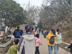 -紫金山山顶公园
