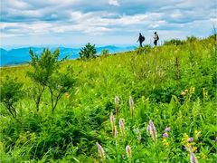 -白草畔自然风景区