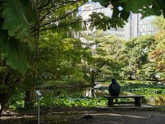 -北海道厅旧本厅舍(旧本庁舎)