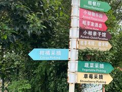 -前小桔亲子创意农场·草莓采摘·露营烧烤