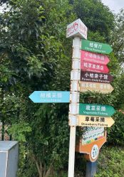 -前小桔亲子创意农场·草莓采摘·露营烧烤