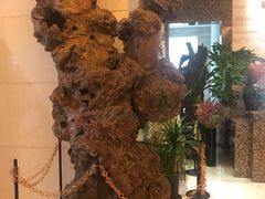 -北京A·C·Embassy酒店(三里屯工人体育场地铁站店)