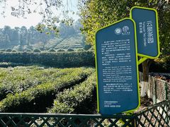 -树山生态村
