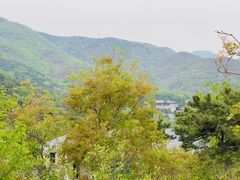 -北京西山国家森林公园