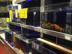 水产区-頂好酒家·经典粤菜(海信广场店)