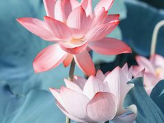 -千忆汤包(闽江路店)