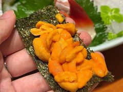 -月龍吟(朝龙汇店)