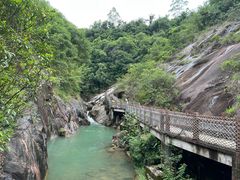 -广州白江湖森林公园