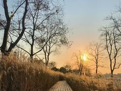 -上海山野camping·户外天幕烧烤·团建拓展营地