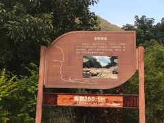 -海南热带雨林国家公园吊罗山景区