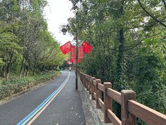 -杭州半山国家森林公园