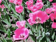 -长春公园(普阳街道)