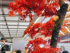 -苏小柳点心·手作小笼包(新街口分院店)