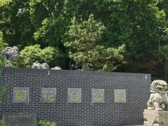 -菊花台公园