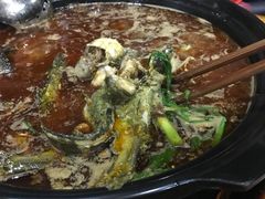 -金海椒罐罐鲢鱼(东方桂苑店)