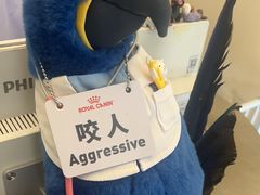 -立德异宠动物医院.兔鸟爬.内窥镜(天河店)