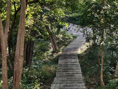 -黄埔油麻山森林公园
