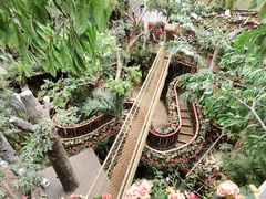 -正佳雨林生态植物园