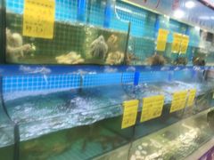 -坛南湾阿强农家乐.海鲜大排档老字号(福州地标美食店)