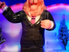 -芜湖新华联大白鲸海洋公园