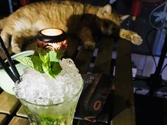 -Sirena海妖日咖夜酒