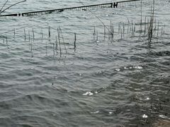 -济南国际园博园