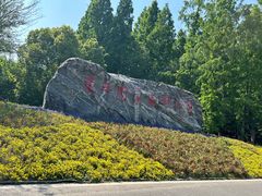 -东平国家森林公园