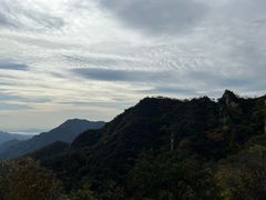 -大岭沟猕猴桃谷风景区