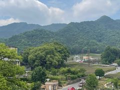 -龙坞茶村