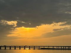 -宝安西湾红树林湿地公园