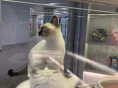 -北大资源博雅城