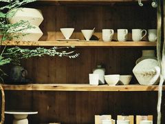 -自由生长植物工作室(深港花卉中心店)