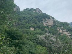 -阳台山自然风景区