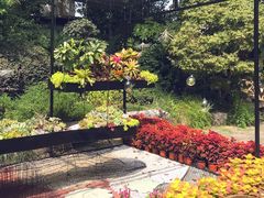 -食客三千·老家