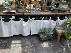 -北马山庄植趣咖啡
