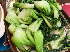 -聂记粤菜馆(鼓西路店)