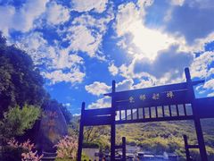 -桃花岛风景旅游区