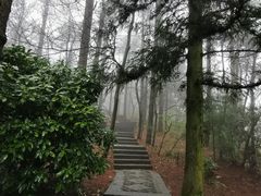 -庐山风景区花径公园