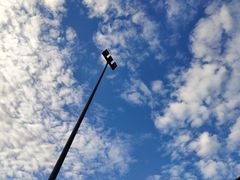 -新疆民族团结羊肉串(锦江区店)