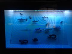 -同济大学四平路校区深海探索馆