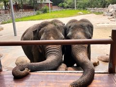 -北京野生动物园