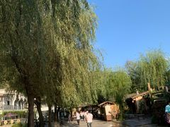 -牛背梁国家森林公园