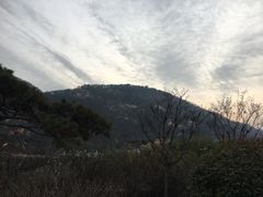 -徂徕山森林康养度假谷温泉