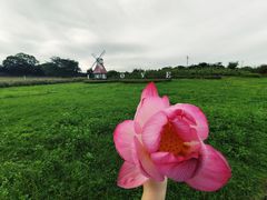 -洈水景区