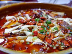 -易老妈蹄花.特色川菜(人民公园总店)