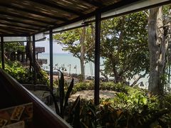 -卷心菜和避孕套餐厅(Pattaya)