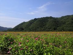 -白河湾生态旅游一条川
