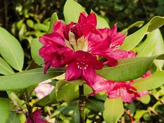 -昆明市金殿名胜区