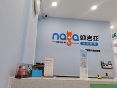 -纳吉亚猫专科动物诊疗中心(蒋宅口分院)