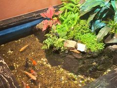 -隐炉和牛烧肉店(群力店)